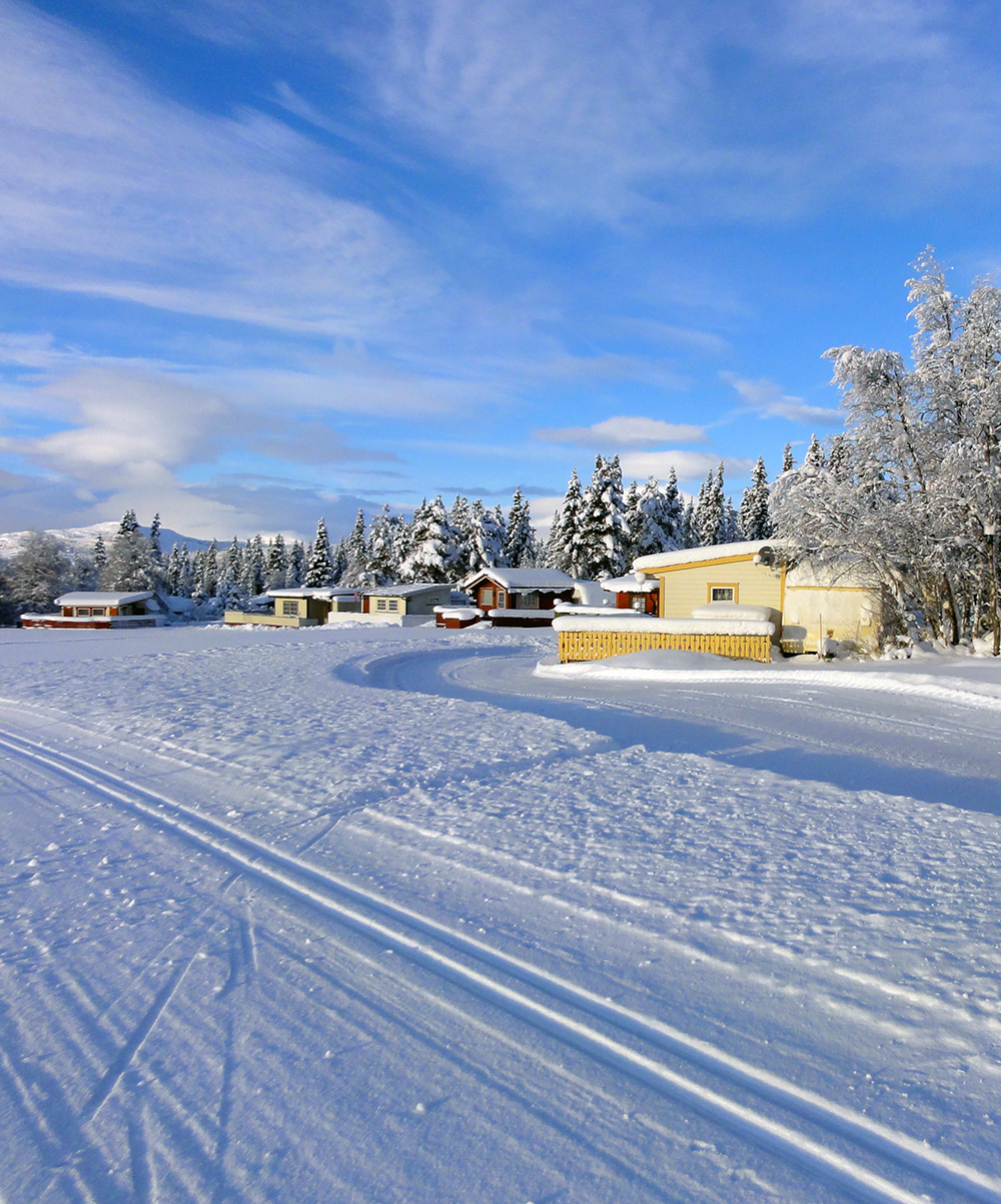 Lægeret Fritidssenter — photo 4